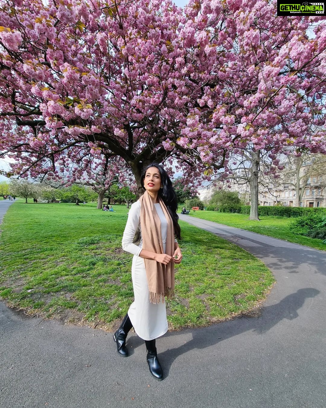 Sarah Jane Dias Instagram - oh hello London 🌸 . 📷 @chindiantraveller . #blossom #bloom #ilovelondon #londoncityworld Regent's Park