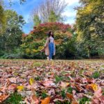 Sarah Jane Dias Instagram - now i know why you said fall is your favourite season... . #fall #fallinlondon #fallcolors #hollandpark #londondiaries #london #instalondon Holland Park
