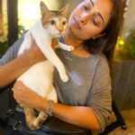 Satarupa Pyne Instagram - The Feline Fource ❤️‼️#GracePyne