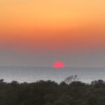 Sayani Gupta Instagram - Had to post today’s sunset. It perhaps was one of the most beautiful sunsets I have ever witnessed. It was a glorious sunny day in Bombay and the Sun melted into the ocean with birds and aeroplanes passing the frame nonchalantly. Truly grateful for this. Today. Everyday. All the inspiration we need is actually around us. Three people I love very much.. it’s their birthday today and tomorrow.. @shujaatsaudagar @kalkikanmani @vasanthigupta Sent out prayers for you🦋 Some days the universe takes a step towards you and let’s you know It’s listening. 🌊🌻