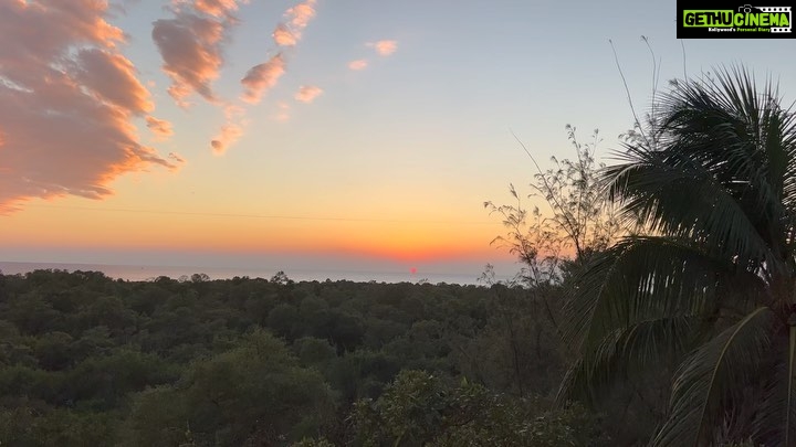 Sayani Gupta Instagram - Had to post today’s sunset. It perhaps was one of the most beautiful sunsets I have ever witnessed. It was a glorious sunny day in Bombay and the Sun melted into the ocean with birds and aeroplanes passing the frame nonchalantly. Truly grateful for this. Today. Everyday. All the inspiration we need is actually around us. Three people I love very much.. it’s their birthday today and tomorrow.. @shujaatsaudagar @kalkikanmani @vasanthigupta Sent out prayers for you🦋 Some days the universe takes a step towards you and let’s you know It’s listening. 🌊🌻