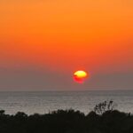 Sayani Gupta Instagram - Had to post today’s sunset. It perhaps was one of the most beautiful sunsets I have ever witnessed. It was a glorious sunny day in Bombay and the Sun melted into the ocean with birds and aeroplanes passing the frame nonchalantly. Truly grateful for this. Today. Everyday. All the inspiration we need is actually around us. Three people I love very much.. it’s their birthday today and tomorrow.. @shujaatsaudagar @kalkikanmani @vasanthigupta Sent out prayers for you🦋 Some days the universe takes a step towards you and let’s you know It’s listening. 🌊🌻