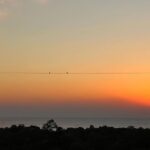 Sayani Gupta Instagram - Had to post today’s sunset. It perhaps was one of the most beautiful sunsets I have ever witnessed. It was a glorious sunny day in Bombay and the Sun melted into the ocean with birds and aeroplanes passing the frame nonchalantly. Truly grateful for this. Today. Everyday. All the inspiration we need is actually around us. Three people I love very much.. it’s their birthday today and tomorrow.. @shujaatsaudagar @kalkikanmani @vasanthigupta Sent out prayers for you🦋 Some days the universe takes a step towards you and let’s you know It’s listening. 🌊🌻