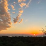 Sayani Gupta Instagram - Had to post today’s sunset. It perhaps was one of the most beautiful sunsets I have ever witnessed. It was a glorious sunny day in Bombay and the Sun melted into the ocean with birds and aeroplanes passing the frame nonchalantly. Truly grateful for this. Today. Everyday. All the inspiration we need is actually around us. Three people I love very much.. it’s their birthday today and tomorrow.. @shujaatsaudagar @kalkikanmani @vasanthigupta Sent out prayers for you🦋 Some days the universe takes a step towards you and let’s you know It’s listening. 🌊🌻