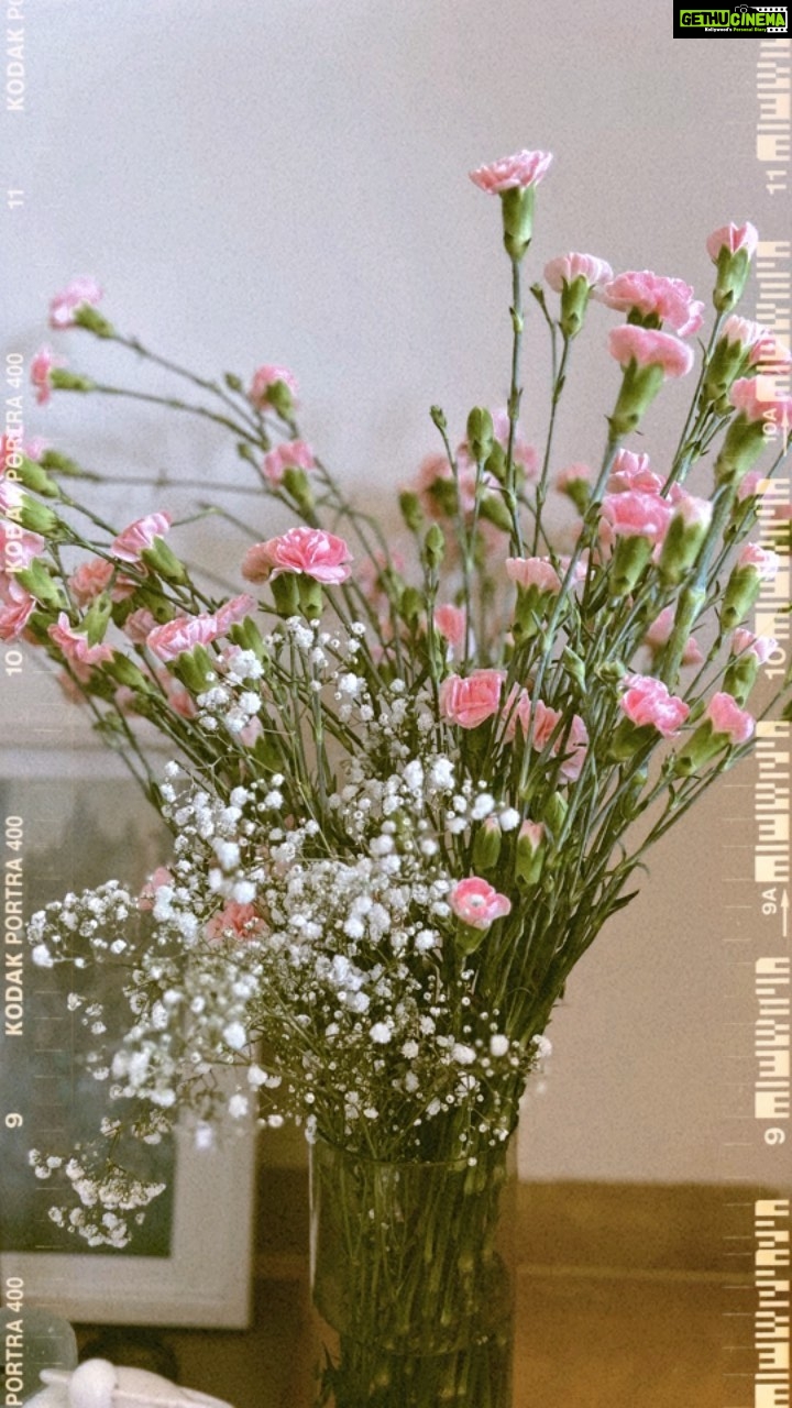 Sayani Gupta Instagram - Shubho Nabobarsho 🌸 Happy Vishu, Happy Vaisakhi 🌼