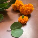 Sayli Patil Instagram - विजयादशमीच्या हार्दिक शुभेच्छा ☺️✨