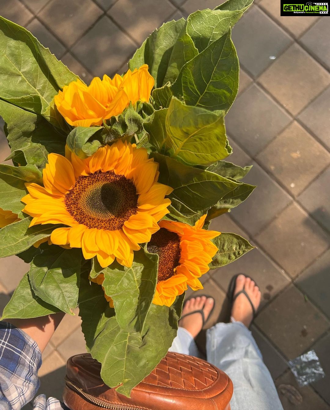 Sayli Patil Instagram - πΈ βοΈπ«Άβ¨ π