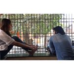 Sharmin Segal Instagram – Vividly remember on this day a year ago it was raining as intensely as it is today adding to my nostalgia of it being 1 year of #malaal ❤️ thank you everyone who made this possible and everyone who watched the movie and if you have not yet it is on @netflix_in !!

Photo 1: My support system @bhansaliproductions @meezaanj @mangeshhadawale 

Photo 2: first workshop “Bhakti’s house 😉”

Photo 3: @meezaanj ‘s first day of shoot. Looks like a kid on his first day of school 

Photo 4: when my smile became Astha’s smile 

Photo 5: @mangeshhadawale ‘s take on snapchat 

Photo 6: @segalsimran , my body double for life ❤️

Photo 7: grateful nani got to see my first song being shot 

Photo 8: @nikam5455 @mer_rohit_4242 @saumya_santosh @hairbypratik @munafvadsaria @udayshirali222 thank you 🙏 ❤️

Photo 9: first experience of shooting on a live location 

Photo 10: shooting rain sequences are really hard…. and @meezaanj ‘s permanent abs 💪🏽

Special mention: @arvigill @rohunrege @sanamratansi @sapana_sharma @iamittyagi @iamkrutimahesh @pavithra___ #mohan  @bombay_gypsy @ragul_dharuman @prerna_singh6 @shobhasant @stylebyami @tanyamehta27 @hairbyseema @hairbyhaseena @loveleen_makeupandhair @shreyaspuranikofficial thank you guys miss you!!! ❤️

IT TAKES AN ARMY TO MAKE A MOVIE! Thank you for all the hard work EVERYONE