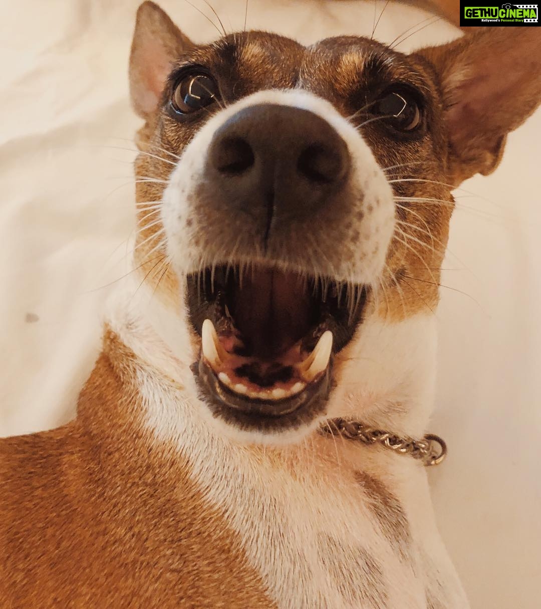 Sharmin Segal Instagram - Is it time already... 22.08.2018 #Mood #Excitement #Peanut #⏰ #🤯 Juhu, Maharashtra, India