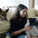 Sharmin Segal Instagram - How is it living with 9 dogs around all the time? Well, it's a beautiful life! 🐶 My dogs are more than family, and I always try to give them the best of everything. Which is why I can paw-sitively say that @headsupfortails is the perfect partner to fulfill ALL of your pets needs! Use code SHARMIN15 and get 15% off on a wide range of amazing products. #ItsABeautifulLife #HUFTforFamily #FoundOnHUFT #WoofTails #DogLove #Thor #Walnut