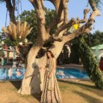Sharmin Segal Instagram - #LehengaSzn 🥰 #JoRiForever 💗 #nofilter cause wedding lighting is the best kind ☺️ 📸: @dodobums