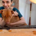 Sharmin Segal Instagram – Photo Dump ;)
weekend with the best views! 
⛰ + 🐕 = 🥰