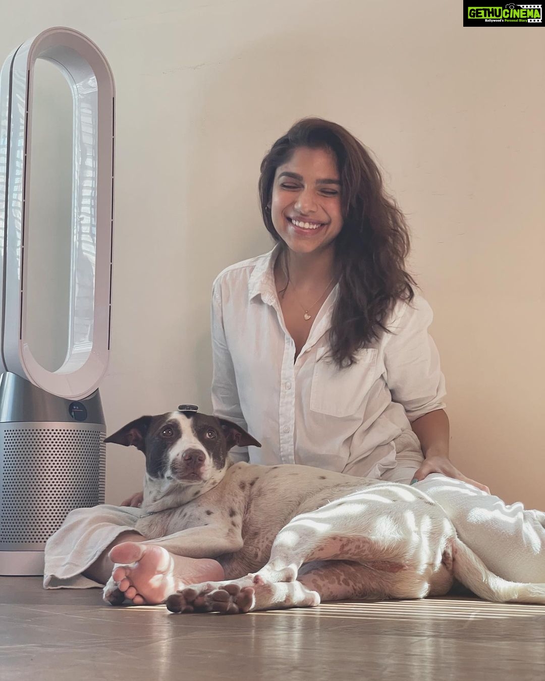Sharmin Segal Instagram - Breathing clean air in today’s day and age is a luxury. Construction, cars and if you have 9 dogs like me, it results in particles in the air that you are breathing in, which regular dusting and cleaning will not necessarily eliminate. what if you could take responsibility for the air you breath? I have been using the Dyson Pure Cool Advance Air Purifier in my room. My favourite feature is the Air Quality Indicator (AQI). It has made me aware that the air I’m breathing on a daily bases is hazardous. Within 2-3 hours of turning the purifier on I see AQI go from red to green. Breathing is not something we think about twice before doing... After understanding the quality of air we breath in I WILL think twice, and take responsibility for my own health, and allowing me to do that is #DysonIndia #ProperPurification #cinnamon @dyson_india