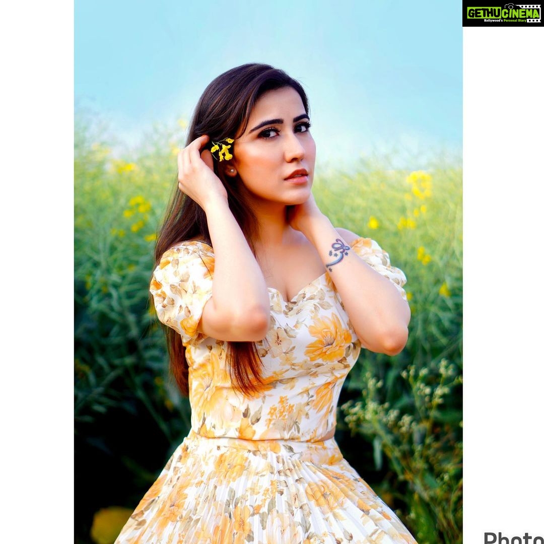 Sheena Bajaj Instagram - Dil mera punjab ke sarson ke khet mai ππΎπ»πΌ Punjab, India