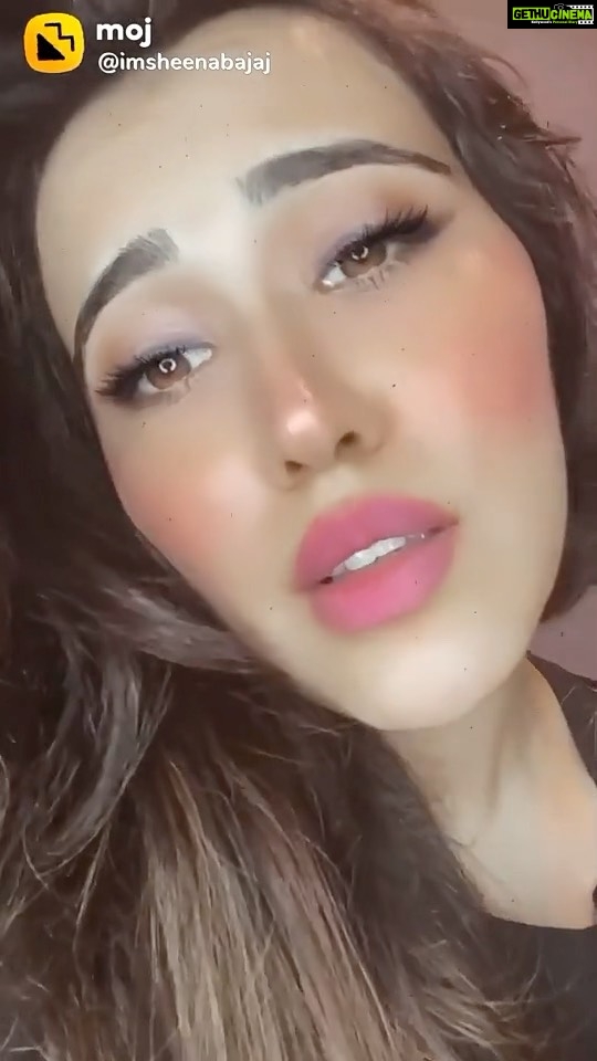 Sheena Bajaj Instagram - Gn ppl ….🌹some things fill ur heart with sooo much joy without u trying also 🐶 love Ty for 6 million likes on @mojindia