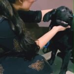 Sheena Bajaj Instagram - Purelove