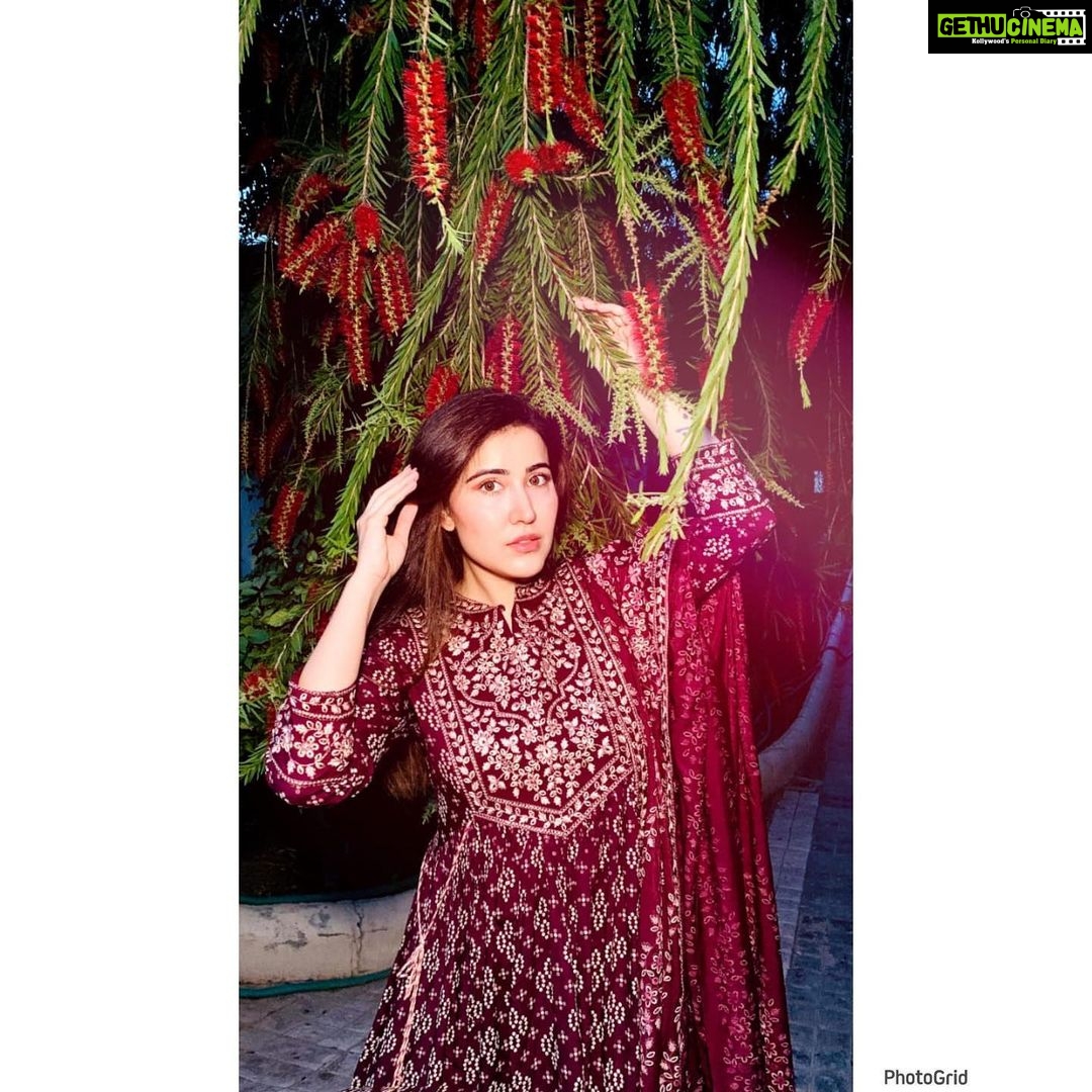 Sheena Bajaj Instagram - Achhi Soorat ko sawarne ko zaroorat Kya hai ,saadgi me bhi qayamat ke Ada hoti hai … Beautiful Indian outfits @sushilascreation Chandigarh, India