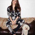 Shivaleeka Oberoi Instagram - Oscar stealing my spotlight 🖤🐶 Stylist @d_devraj Assisted by @stylebyishita, @idarshishetty Hair & Makeup: @nehaseehra Asstd: @makeupbyishakothari Outfit jumpsuit @abrahamandthakore Accessories @blingthingstore Heels @londonrag_in Photograher @harsh_mevada #KhudaHaafizChapter2AgniPariksha #Promotions