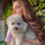 Shivaleeka Oberoi Instagram – A beautiful sunset and a girl who overdid the selfies! 🤭🐶💕☀️
Swipe till the last slide 🤪