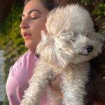 Shivaleeka Oberoi Instagram – A beautiful sunset and a girl who overdid the selfies! 🤭🐶💕☀️
Swipe till the last slide 🤪