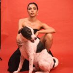 Shriya Pilgaonkar Instagram – Apparently it’s siblings day 🐾 

Mine is rather pawsitively handsome 

#Siblingsday #dogsofinstagram #JackAndI #Partnerincrime