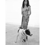 Shriya Pilgaonkar Instagram - Jack taking me out for a walk 🤭 #Casual #team #Rideordie #Jack