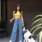 Shriya Pilgaonkar Instagram – Team 🤙🏼♥️🧿

Pc @karanhenry 

#Jack #Posers #dogsofinstagram #indie #Adopt