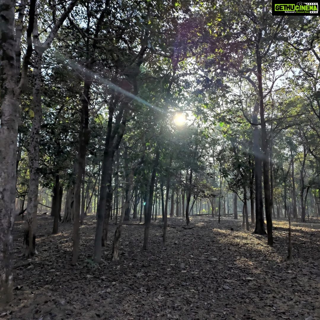 Shruti Bapna Instagram - How amazing it is that we have all kinds of landscapes within India! Here are some lovely views from Pench Tiger Reserveđź’š . . . . . #penchnationalpark #tigerreserve #beautifulindia #indiatravel #madhyapradesh #penchtigerreserve #natureshots #treesofinstagram #photodaily