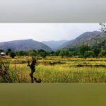 Shruti Bapna Instagram – मेरी मिट्टी की खुशबू ❤⛰
.
.
.
.
.
#himalayas #himachal #solotraveler Bir, Himachal Pradesh, India