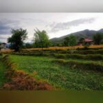 Shruti Bapna Instagram - Do you have certain recurring dreams of a place till you actually get there??? . . . . . #solotraveler #himachal #bir #mountains #himalayas #meditationspace #dejavu #shrutibapna Bir, Himachal Pradesh, India