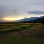 Shruti Bapna Instagram - Sunsets, smiles and dreams🧡💫⛰🌄 . . . . . #shrutibapna #solotraveler #himachaldiaries #beautifulindia #bir In the Fields