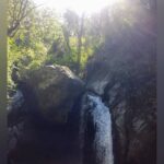 Shruti Bapna Instagram - Breathe in and out consciously... it's beautiful. Everything else can wait 💚 #himachal #waterfall #nature #shrutibapna Himachal Pradesh