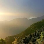 Shruti Bapna Instagram - The magic that this place is all about #himachal 🌷 . . . . . #travel #traveler #travelgram #himachaldiaries #dharamkot #dharamshala #forest #shrutibapna