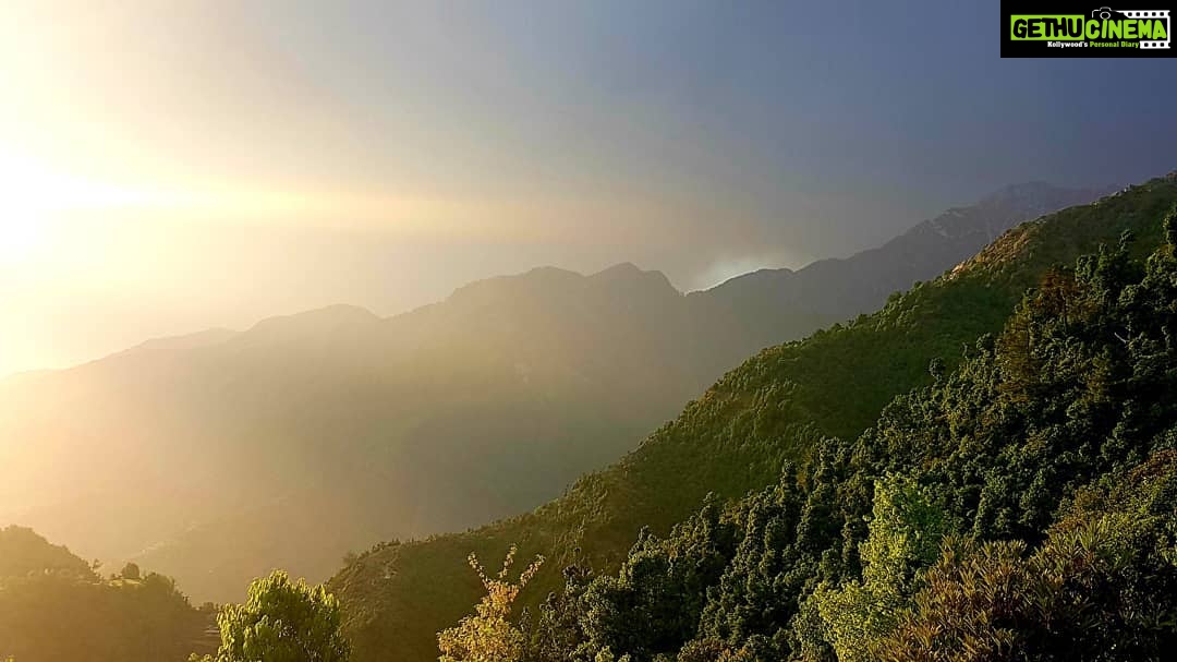 Shruti Bapna Instagram - The magic that this place is all about #himachal 🌷 . . . . . #travel #traveler #travelgram #himachaldiaries #dharamkot #dharamshala #forest #shrutibapna