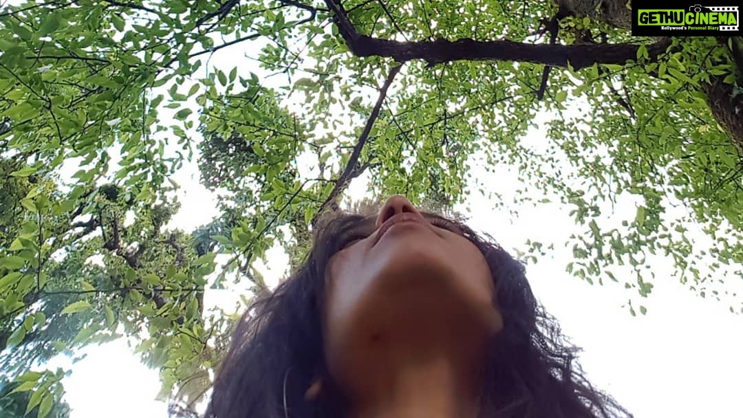 Shruti Bapna Instagram - The magic that this place is all about #himachal 🌷 . . . . . #travel #traveler #travelgram #himachaldiaries #dharamkot #dharamshala #forest #shrutibapna