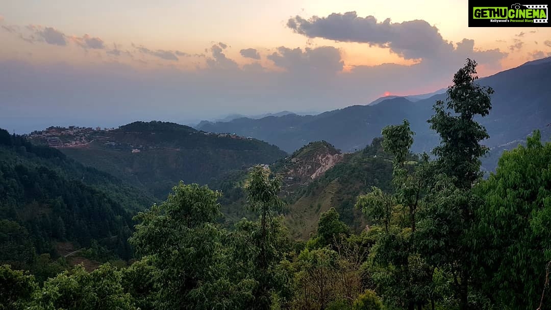 Shruti Bapna Instagram - The magic that this place is all about #himachal 🌷 . . . . . #travel #traveler #travelgram #himachaldiaries #dharamkot #dharamshala #forest #shrutibapna
