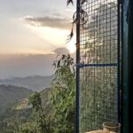 Shruti Bapna Instagram - The magic that this place is all about #himachal 🌷 . . . . . #travel #traveler #travelgram #himachaldiaries #dharamkot #dharamshala #forest #shrutibapna