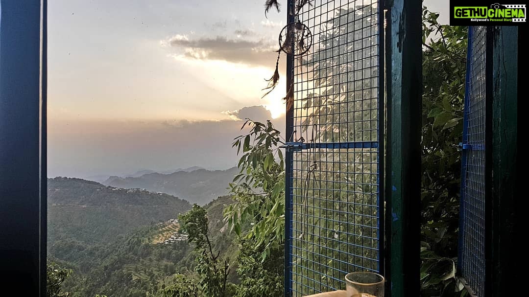 Shruti Bapna Instagram - The magic that this place is all about #himachal 🌷 . . . . . #travel #traveler #travelgram #himachaldiaries #dharamkot #dharamshala #forest #shrutibapna