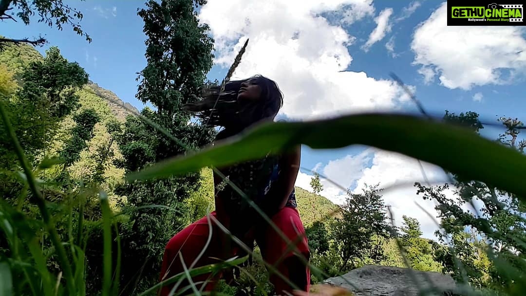Shruti Bapna Instagram - The magic that this place is all about #himachal 🌷 . . . . . #travel #traveler #travelgram #himachaldiaries #dharamkot #dharamshala #forest #shrutibapna