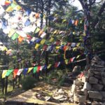 Shruti Bapna Instagram - Dharamkot, Dharamshala, Himachal Pradesh, India