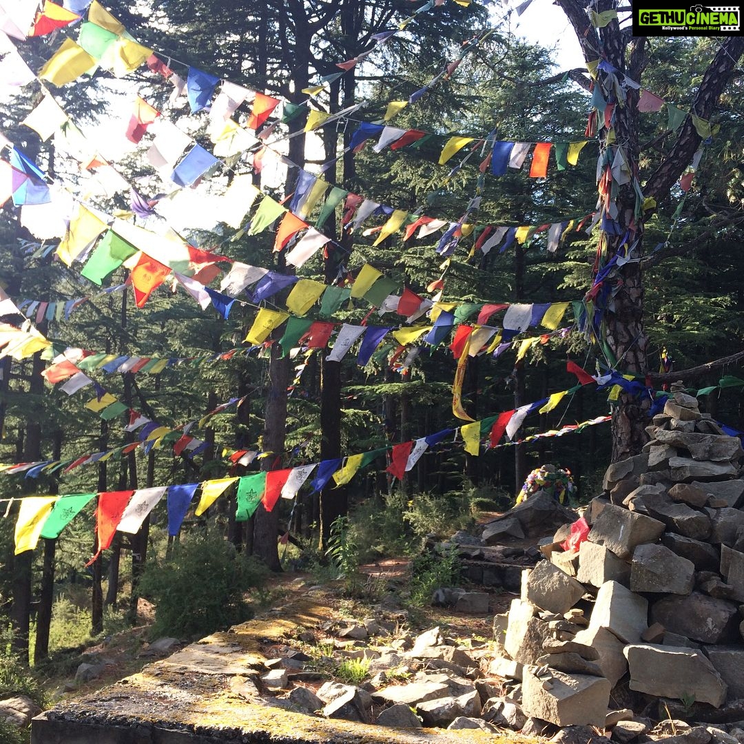 Shruti Bapna Instagram - Dharamkot, Dharamshala, Himachal Pradesh, India