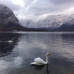 Shruti Bapna Instagram - Hallstatt, Austria. It's insane how beautiful this place is. And I experienced it at a very unique time when winters are round the corner and the mountains were half covered in snow. Blissful and serene. One of the most enchanting views