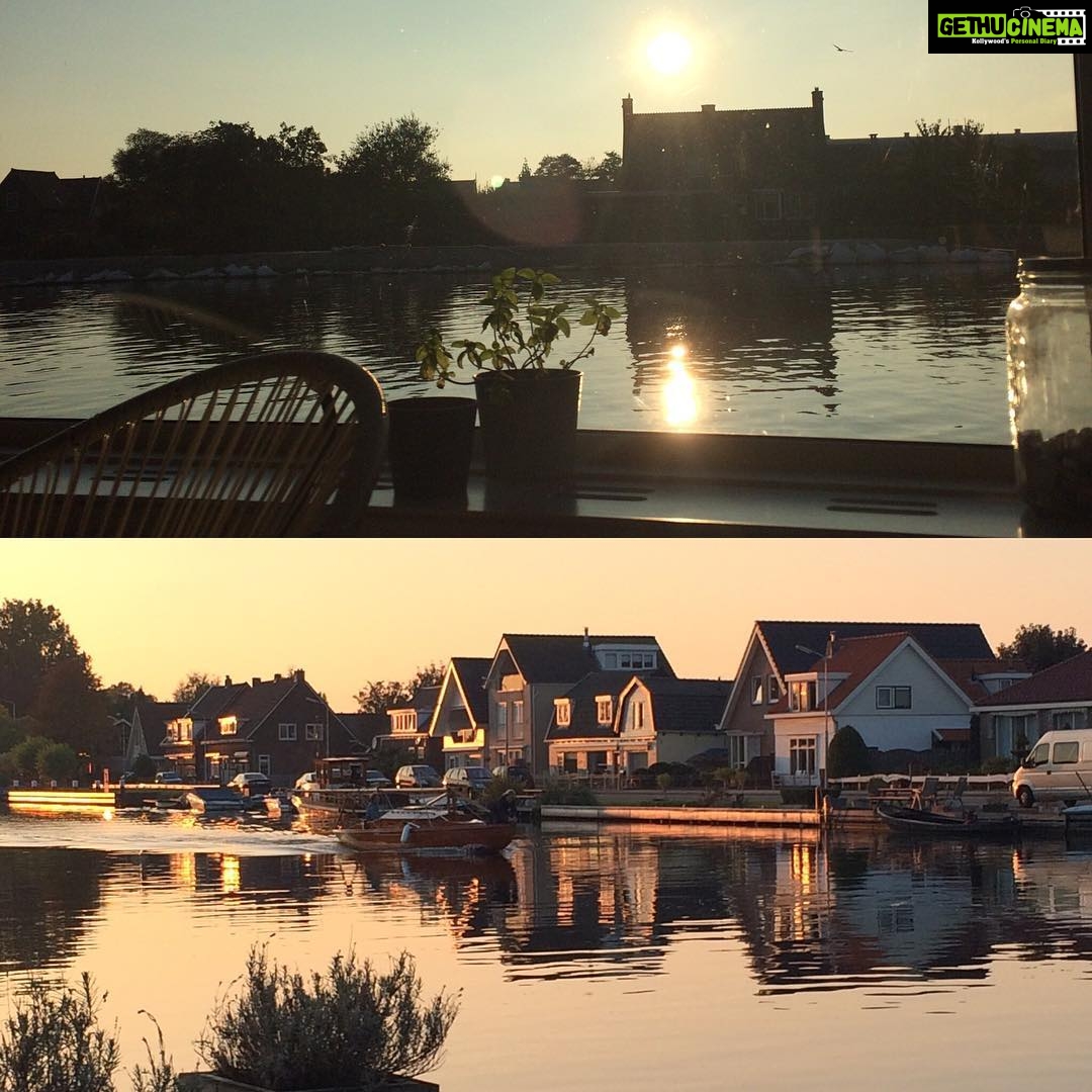 Shruti Bapna Instagram - A little sunshine in the windy winters! Aalsmeer