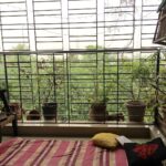 Shruti Bapna Instagram – Woh hara rang woh baarish ki mehek badlon ka ghirna…ek chaadar hi kaafi hai (the hills are covered with fog)