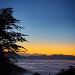 Shruti Bapna Instagram - What would you prefer? City Life or mountain life???☘️🌲 Happy weekend!!!💗 . . . . . #uttarakhandtraveller #uttarakhandtourism #uttarakhanddiaries #kumaon #pinetrees #indiangirlstravel #incredibleindia Kumaon,uttarakhand