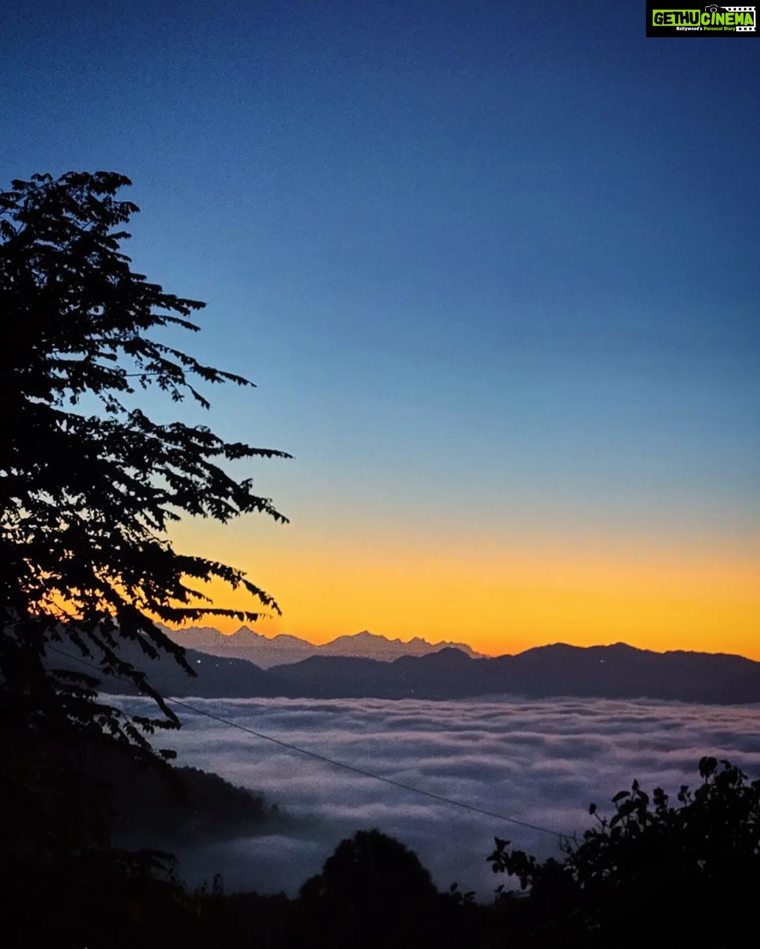 Shruti Bapna Instagram - What would you prefer? City Life or mountain life???βοΈπ² Happy weekend!!!π . . . . . #uttarakhandtraveller #uttarakhandtourism #uttarakhanddiaries #kumaon #pinetrees #indiangirlstravel #incredibleindia Kumaon,uttarakhand