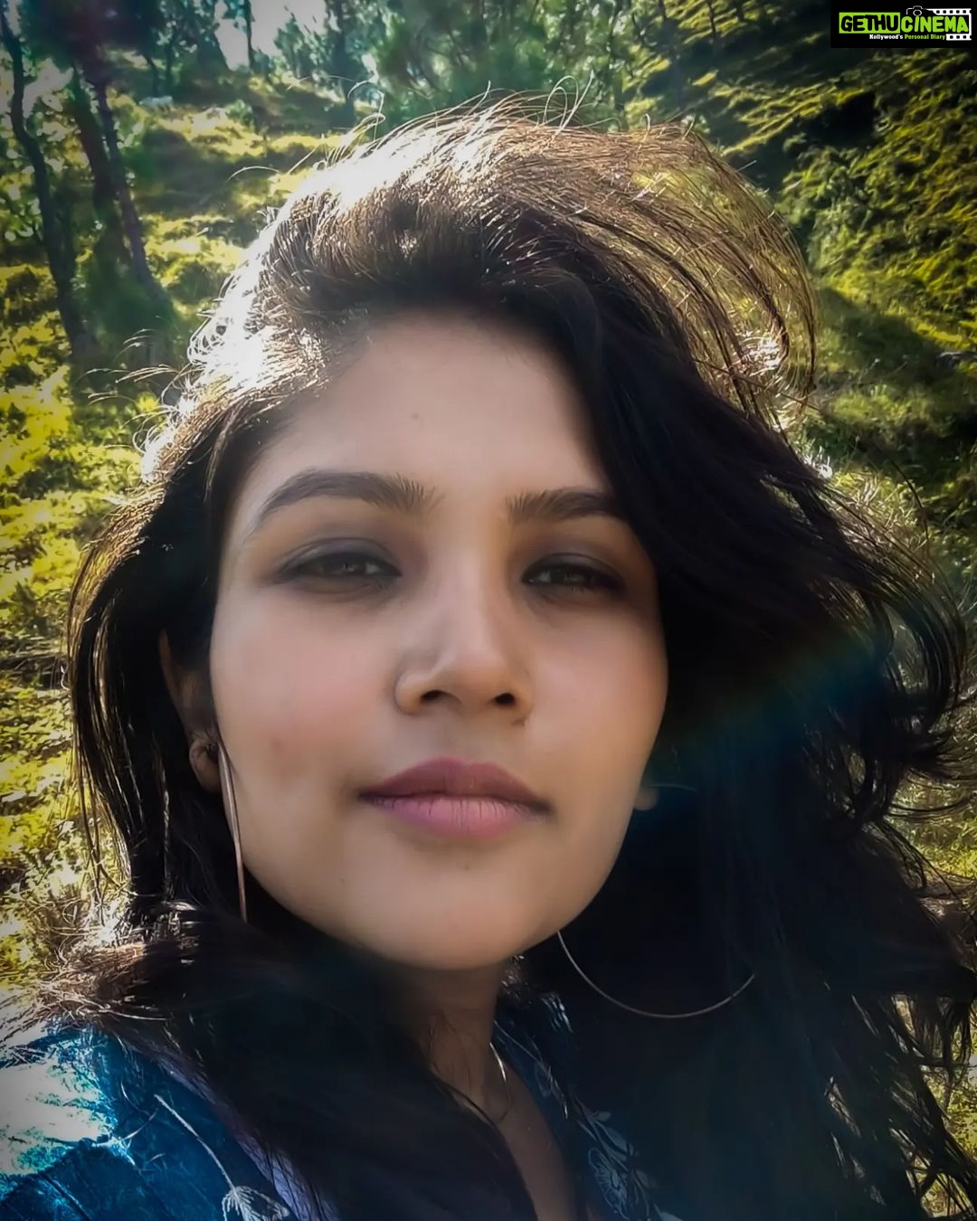 Shruti Bapna Instagram - What would you prefer? City Life or mountain life???βοΈπ² Happy weekend!!!π . . . . . #uttarakhandtraveller #uttarakhandtourism #uttarakhanddiaries #kumaon #pinetrees #indiangirlstravel #incredibleindia Kumaon,uttarakhand