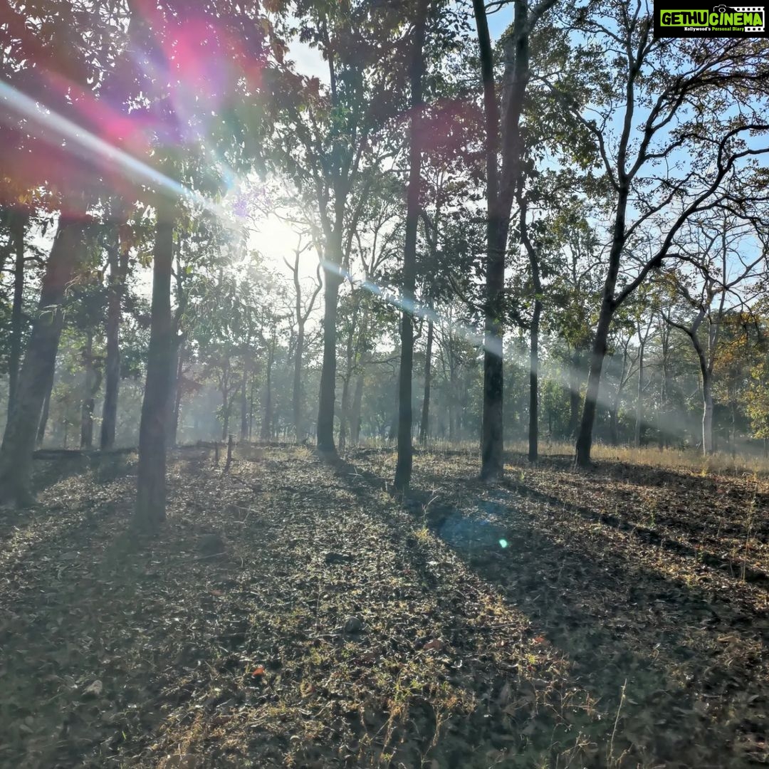 Shruti Bapna Instagram - How amazing it is that we have all kinds of landscapes within India! Here are some lovely views from Pench Tiger Reserveđź’š . . . . . #penchnationalpark #tigerreserve #beautifulindia #indiatravel #madhyapradesh #penchtigerreserve #natureshots #treesofinstagram #photodaily