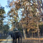 Shruti Bapna Instagram - How amazing it is that we have all kinds of landscapes within India! Here are some lovely views from Pench Tiger Reserve💚 . . . . . #penchnationalpark #tigerreserve #beautifulindia #indiatravel #madhyapradesh #penchtigerreserve #natureshots #treesofinstagram #photodaily