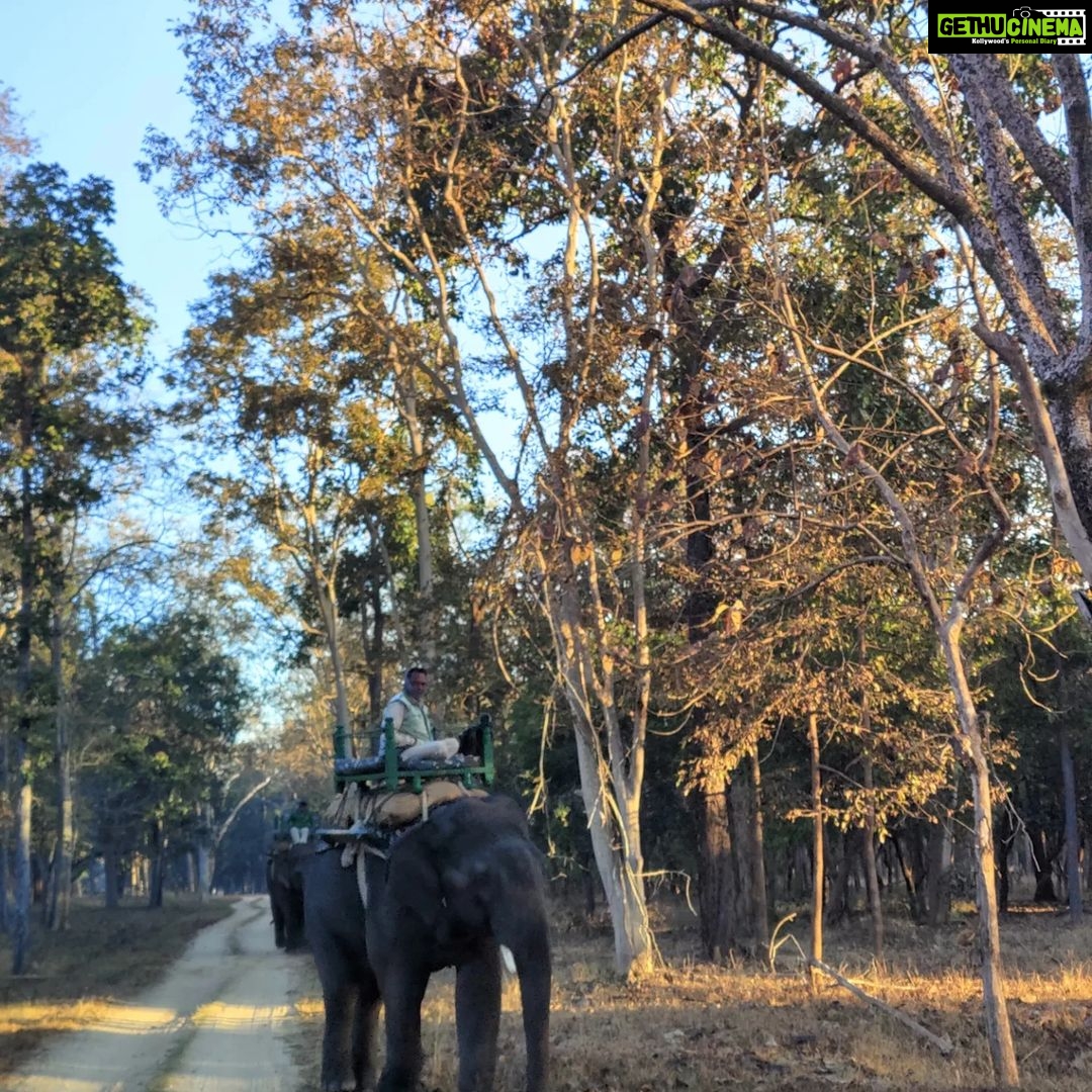 Shruti Bapna Instagram - How amazing it is that we have all kinds of landscapes within India! Here are some lovely views from Pench Tiger Reserveđź’š . . . . . #penchnationalpark #tigerreserve #beautifulindia #indiatravel #madhyapradesh #penchtigerreserve #natureshots #treesofinstagram #photodaily